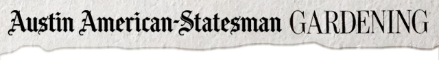 txaas_masthead