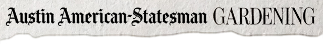 txaas_masthead