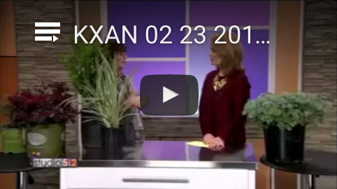 Dianas-Designs-KXAN-Gardening-Landscaping-Austin-Video