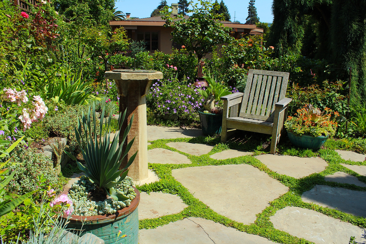 Flagstone pavers and beautiful winter groundcover