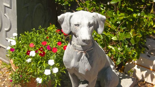 dog sculpture in garden