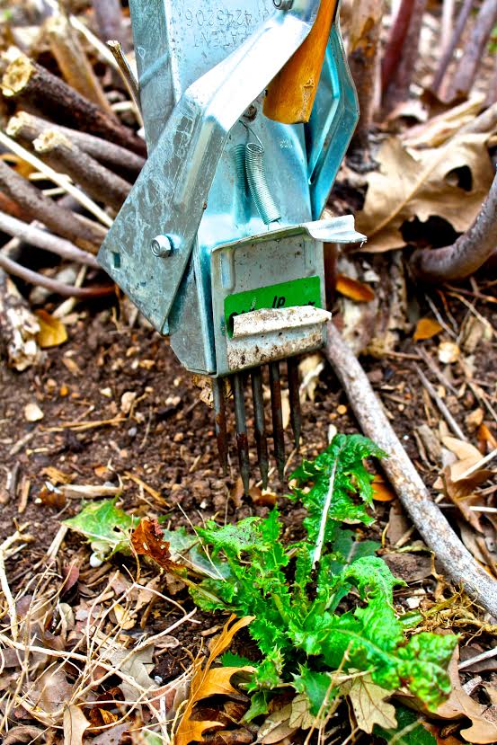 weed puller