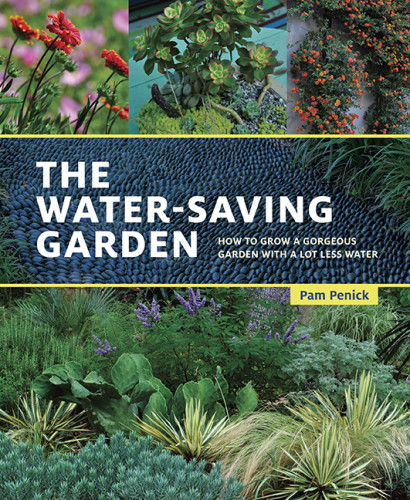 pam-penick-water-saving-garden-book-austin-garden-blog-